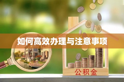 江津如何高效办理与注意事项