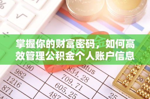 江津掌握你的财富密码，如何高效管理公积金个人账户信息