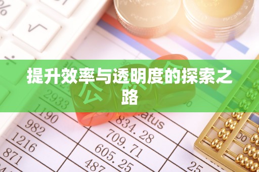 江津提升效率与透明度的探索之路