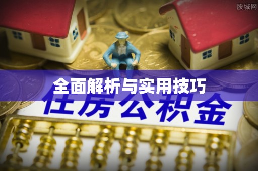 江津全面解析与实用技巧