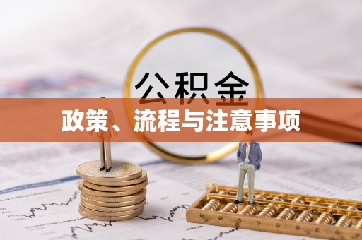江津政策、流程与注意事项