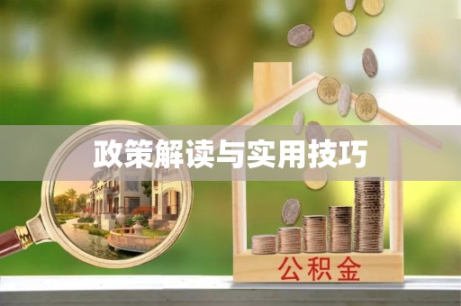 江津政策解读与实用技巧