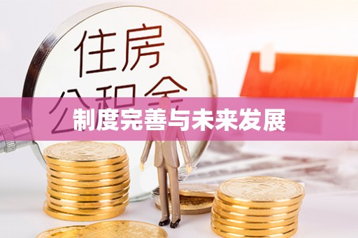 江津制度完善与未来发展