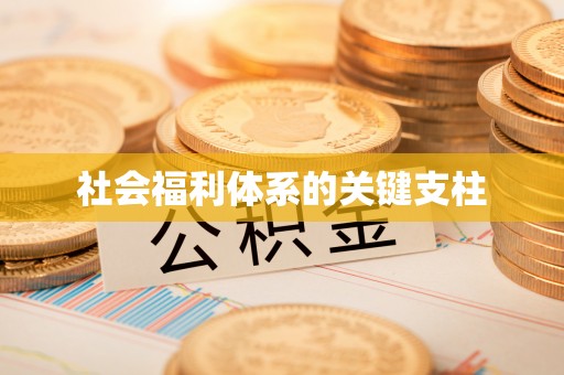 江津社会福利体系的关键支柱