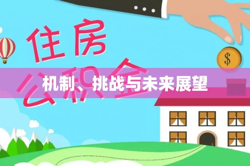 江津机制、挑战与未来展望