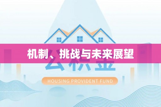 江津机制、挑战与未来展望
